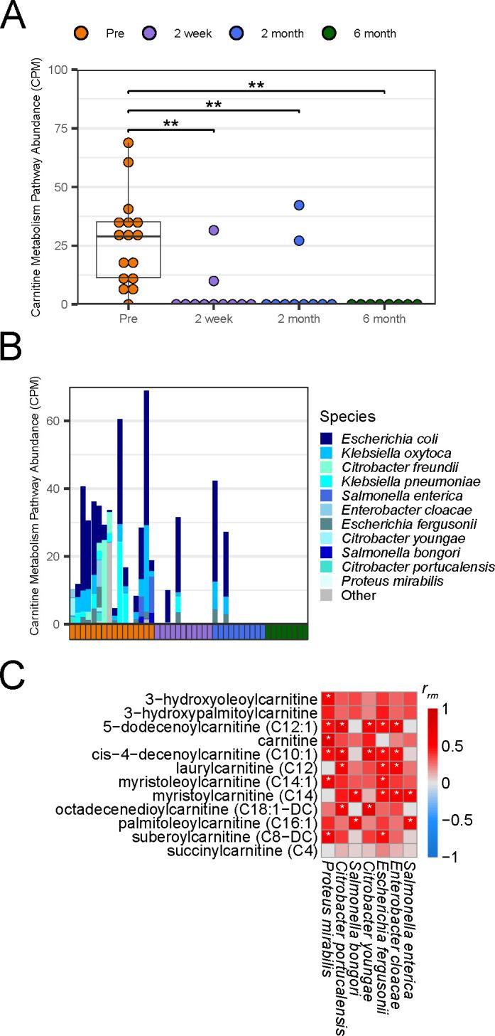 https://cdn.ncbi.nlm.nih.gov/pmc/blobs/7667/11520286/b5ab7d7417dc/msphere.00706-24.f003.jpg