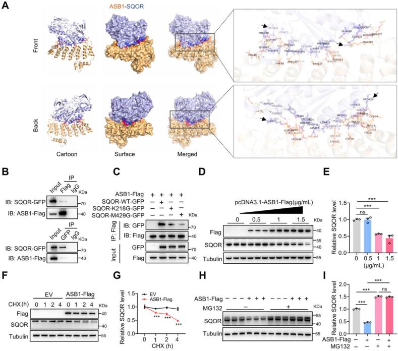 https://cdn.ncbi.nlm.nih.gov/pmc/blobs/7667/11743861/593049ce340c/gr5.jpg
