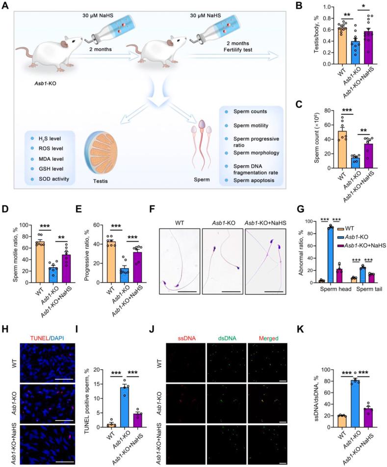 https://cdn.ncbi.nlm.nih.gov/pmc/blobs/7667/11743861/fb6f40292cb8/gr8.jpg