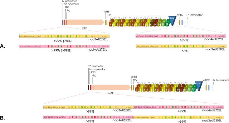 https://cdn.ncbi.nlm.nih.gov/pmc/blobs/766e/10482289/3680079ee31d/pgen.1010733.g009.jpg