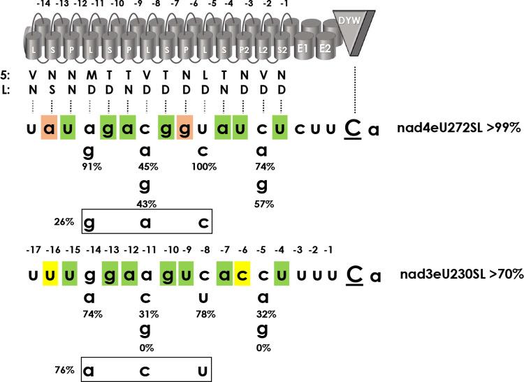 https://cdn.ncbi.nlm.nih.gov/pmc/blobs/766e/10482289/69535db54825/pgen.1010733.g004.jpg