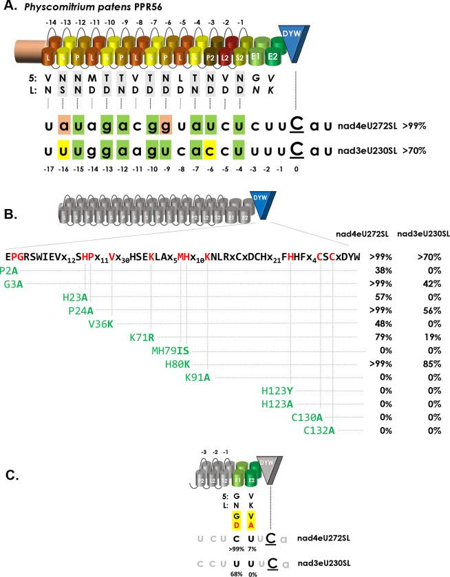 https://cdn.ncbi.nlm.nih.gov/pmc/blobs/766e/10482289/a6943280c938/pgen.1010733.g001.jpg