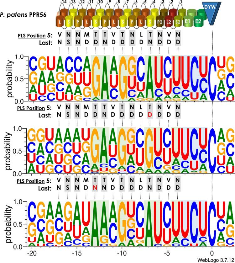 https://cdn.ncbi.nlm.nih.gov/pmc/blobs/766e/10482289/fa83917b6b8f/pgen.1010733.g007.jpg