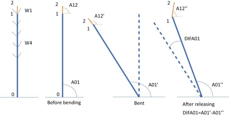 https://cdn.ncbi.nlm.nih.gov/pmc/blobs/7670/8866635/d1d1eec35882/erab535f0002.jpg