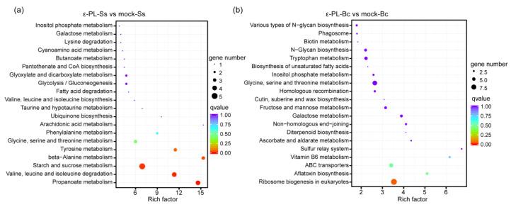 https://cdn.ncbi.nlm.nih.gov/pmc/blobs/7671/8540936/798ecbeb2610/jof-07-00821-g005.jpg