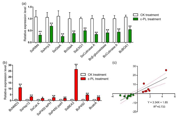 https://cdn.ncbi.nlm.nih.gov/pmc/blobs/7671/8540936/8a92aa8fd7da/jof-07-00821-g006.jpg