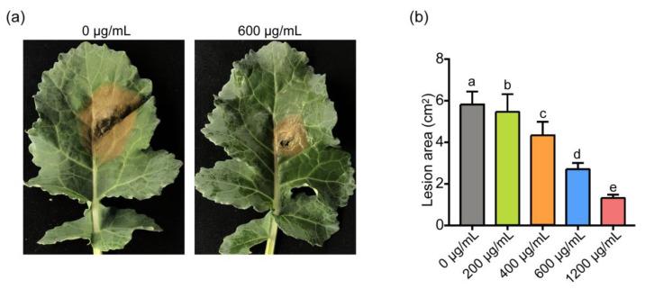 https://cdn.ncbi.nlm.nih.gov/pmc/blobs/7671/8540936/d46d135b3004/jof-07-00821-g003.jpg