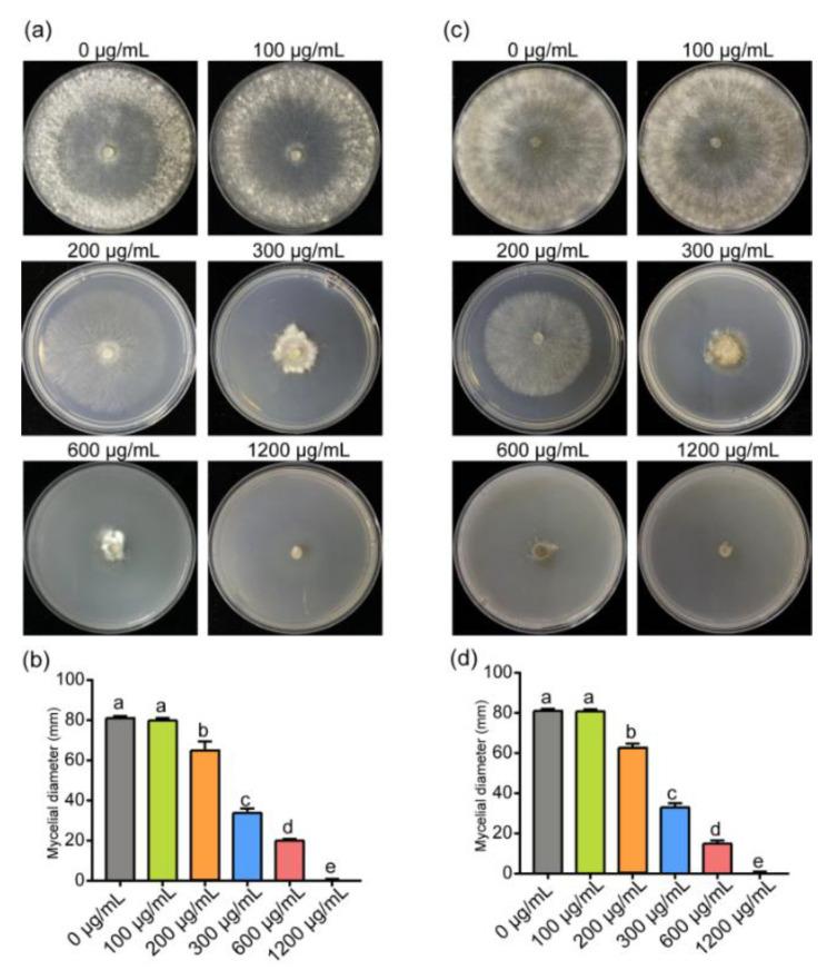 https://cdn.ncbi.nlm.nih.gov/pmc/blobs/7671/8540936/e72ce042d1e8/jof-07-00821-g001.jpg