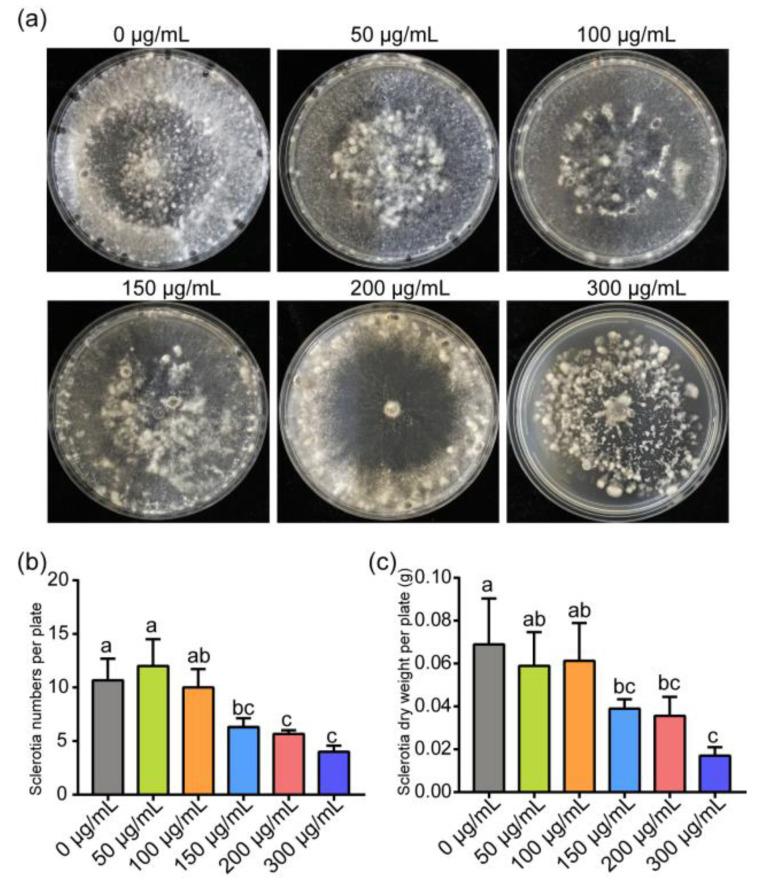 https://cdn.ncbi.nlm.nih.gov/pmc/blobs/7671/8540936/f9d1b5ecf681/jof-07-00821-g002.jpg