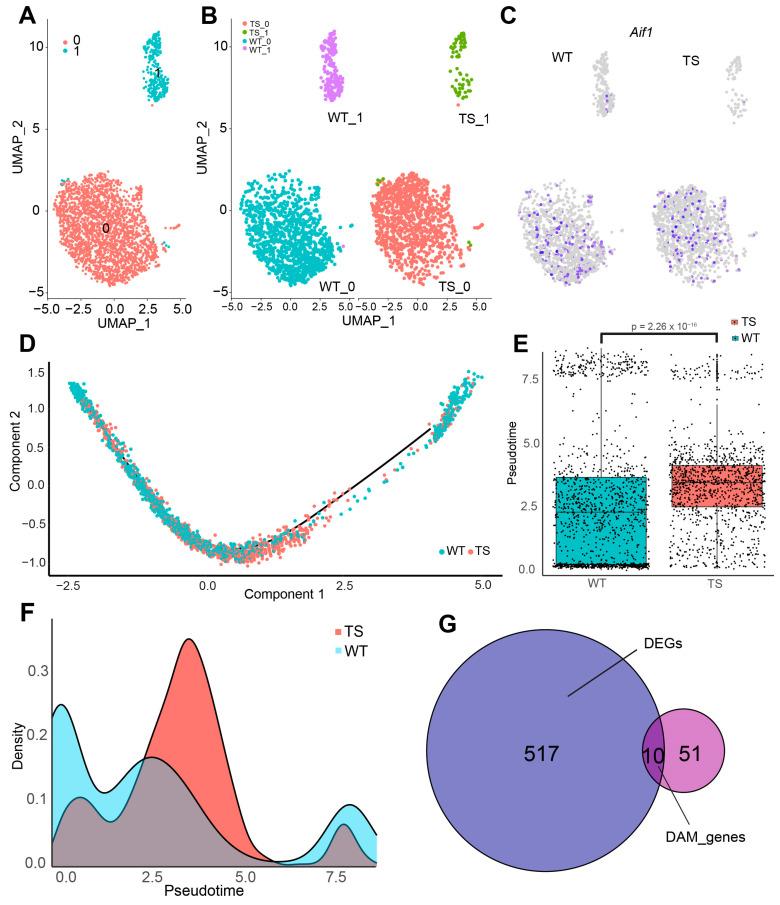 https://cdn.ncbi.nlm.nih.gov/pmc/blobs/7676/10970051/0b0982391ec1/ijms-25-03289-g003.jpg