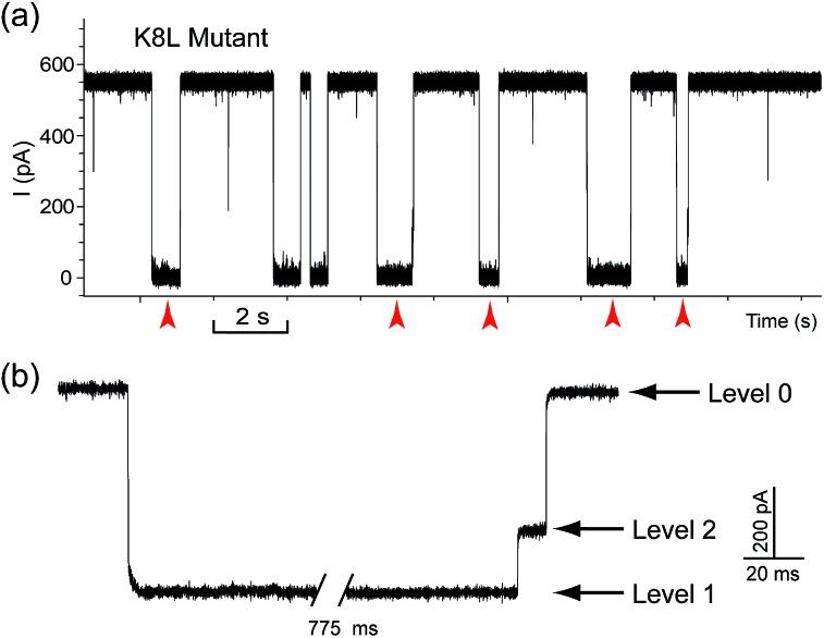 https://cdn.ncbi.nlm.nih.gov/pmc/blobs/7676/5510575/8bfb0ecd8c6b/c5sc01436k-f4.jpg