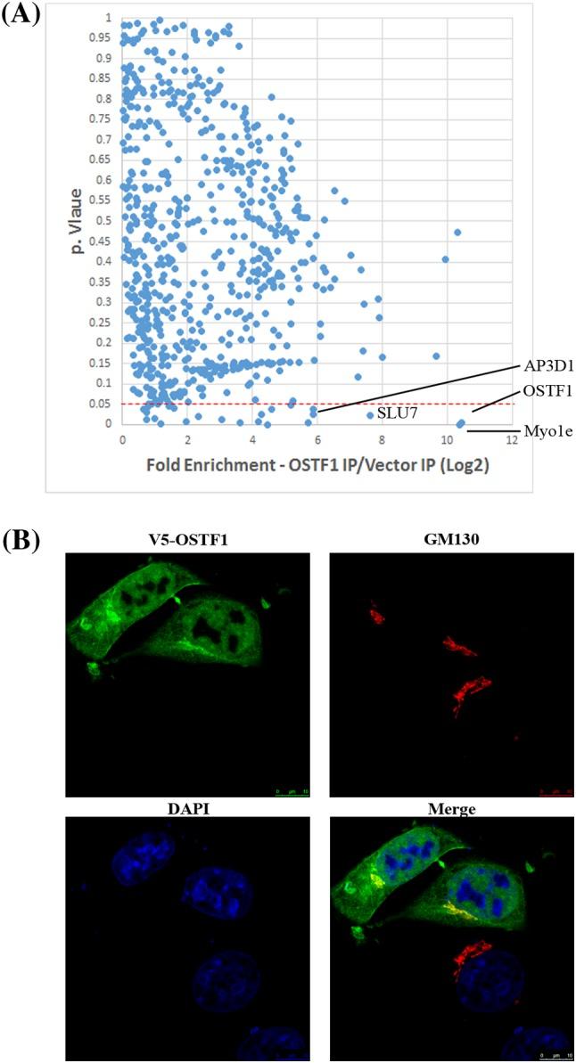 https://cdn.ncbi.nlm.nih.gov/pmc/blobs/7676/5680368/faf499ba5ea0/335_2017_9718_Fig10_HTML.jpg