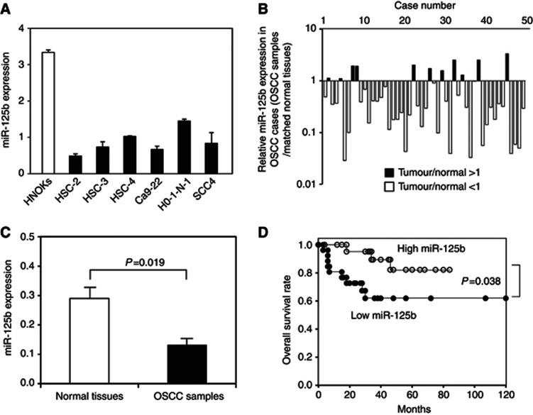 https://cdn.ncbi.nlm.nih.gov/pmc/blobs/7678/3658524/80ab75097dea/bjc2013175f1.jpg