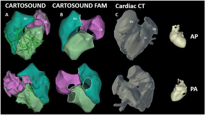 https://cdn.ncbi.nlm.nih.gov/pmc/blobs/7679/11837874/f7774e684418/JCE-36-480-g004.jpg