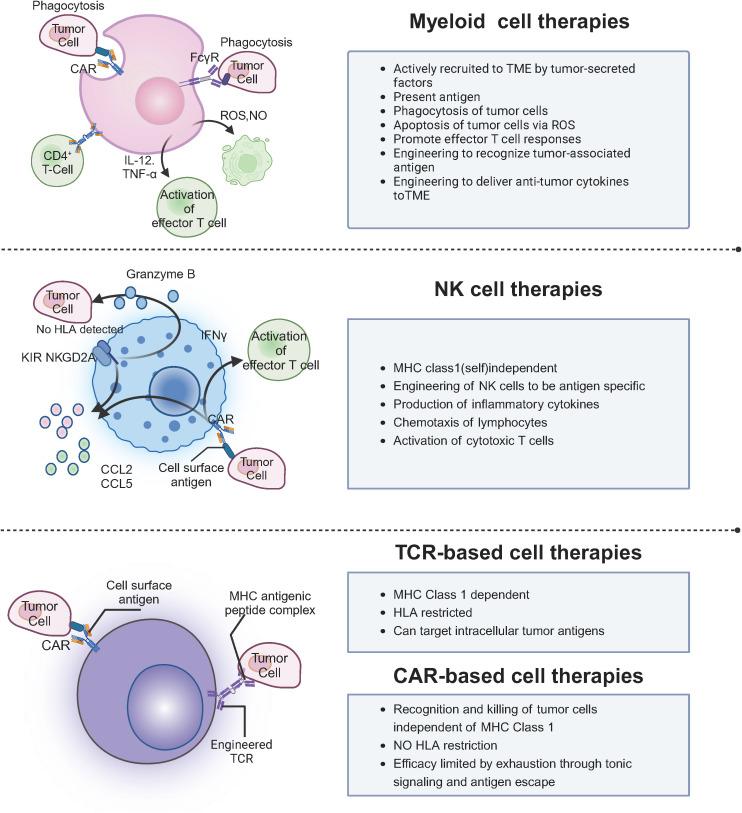 https://cdn.ncbi.nlm.nih.gov/pmc/blobs/767a/12066282/446b4a6434b5/fonc-15-1551583-g001.jpg