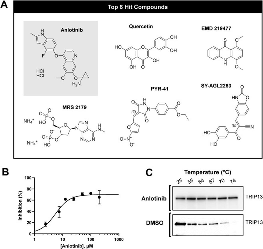 https://cdn.ncbi.nlm.nih.gov/pmc/blobs/767a/12224672/3f4cc68d912f/nihms-2082824-f0007.jpg