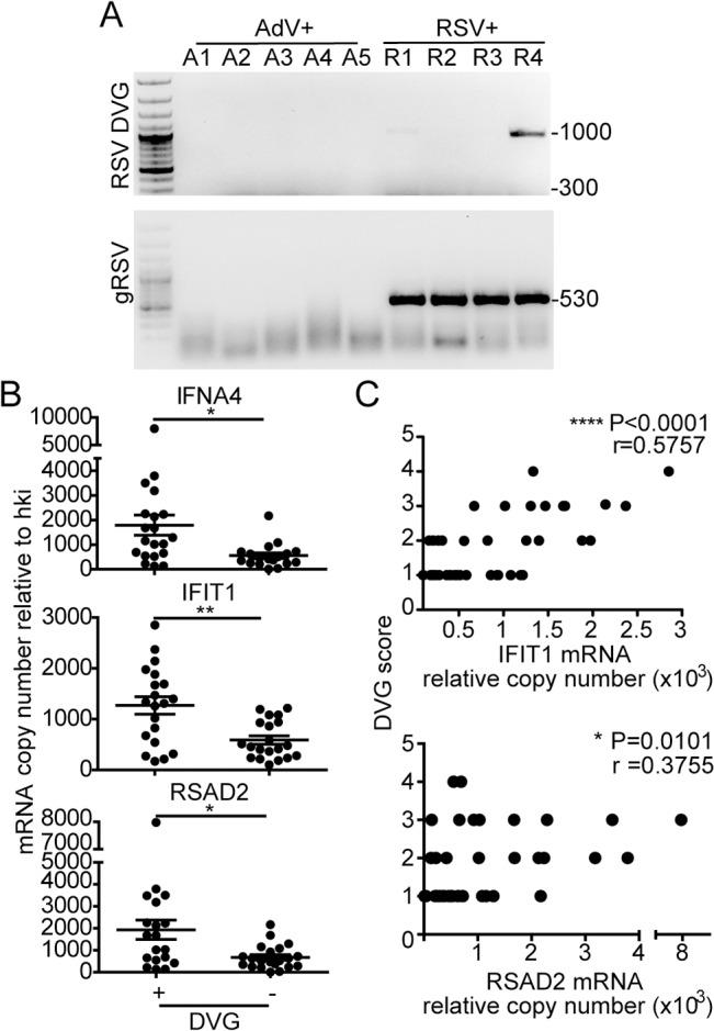 https://cdn.ncbi.nlm.nih.gov/pmc/blobs/767a/4559413/8cef2adc1bd2/ppat.1005122.g005.jpg
