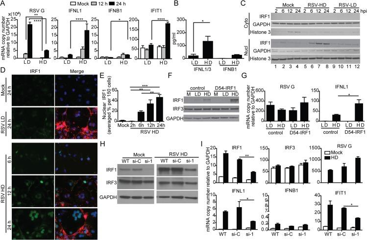 https://cdn.ncbi.nlm.nih.gov/pmc/blobs/767a/4559413/c033d48515c9/ppat.1005122.g004.jpg