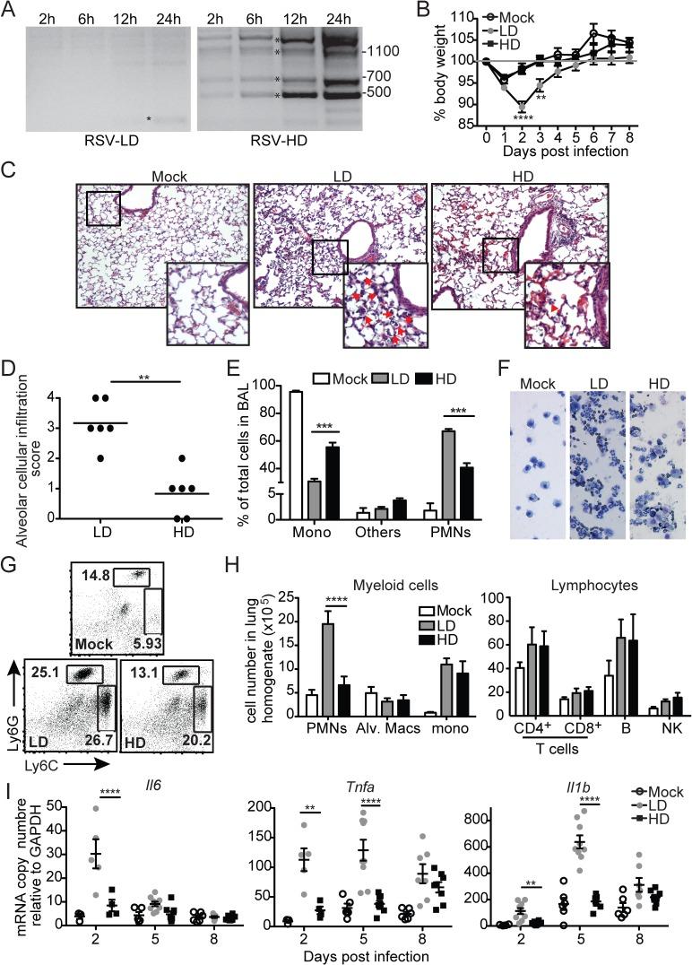 https://cdn.ncbi.nlm.nih.gov/pmc/blobs/767a/4559413/da80ca815f2c/ppat.1005122.g001.jpg
