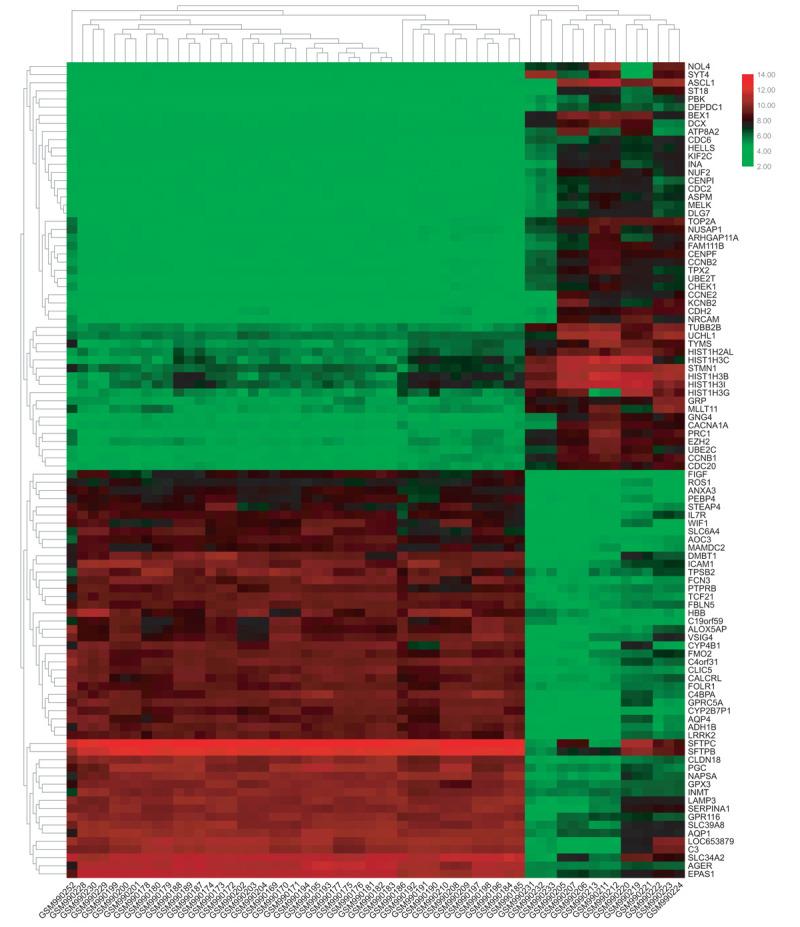 https://cdn.ncbi.nlm.nih.gov/pmc/blobs/767c/7440067/3f0fe1470c52/medi-99-e19086-g003.jpg