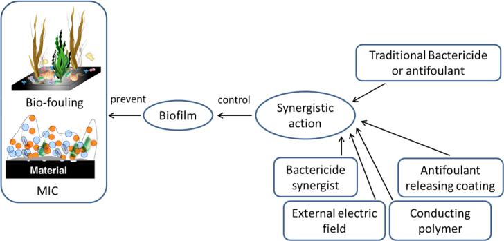 https://cdn.ncbi.nlm.nih.gov/pmc/blobs/767d/6513773/259edebd3b30/gr5.jpg