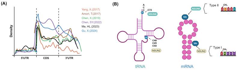 https://cdn.ncbi.nlm.nih.gov/pmc/blobs/767e/11628344/b4292e19dccf/ijbsv20p6241g003.jpg