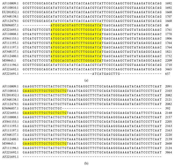 https://cdn.ncbi.nlm.nih.gov/pmc/blobs/767e/4355815/73207684cced/TSWJ2015-352519.006.jpg