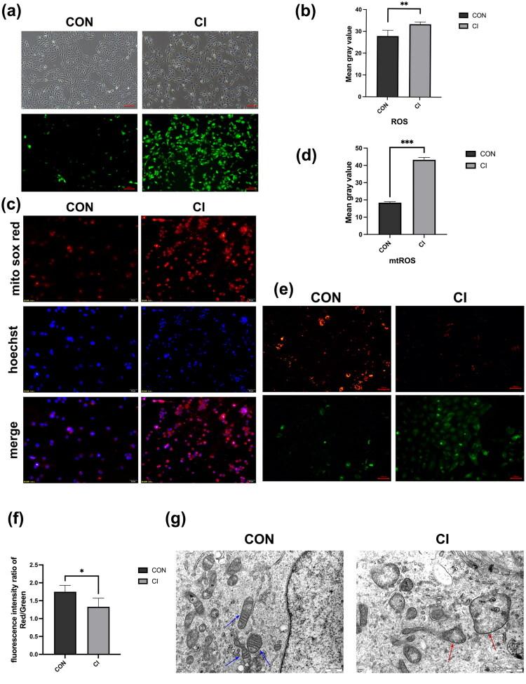 https://cdn.ncbi.nlm.nih.gov/pmc/blobs/767f/12337735/bb43e809645d/IRNF_A_2532112_F0003_C.jpg