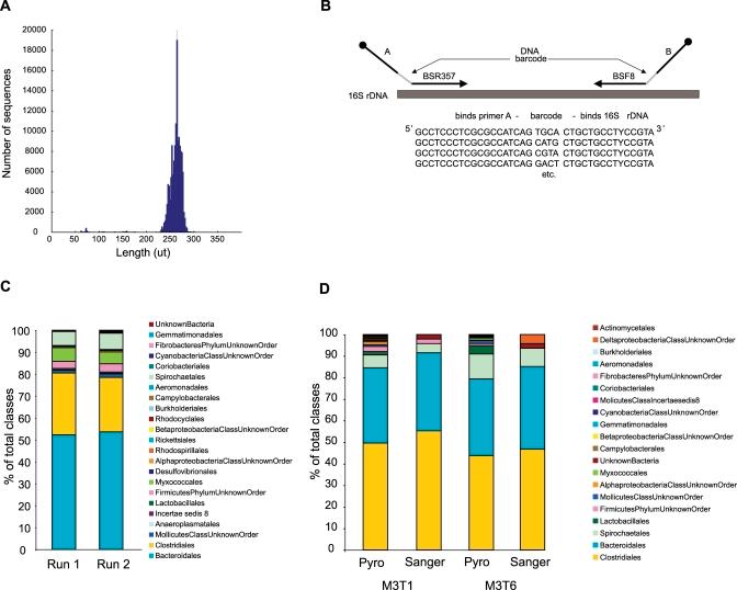 https://cdn.ncbi.nlm.nih.gov/pmc/blobs/767f/2323654/786140406097/ppat.0040020.g001.jpg