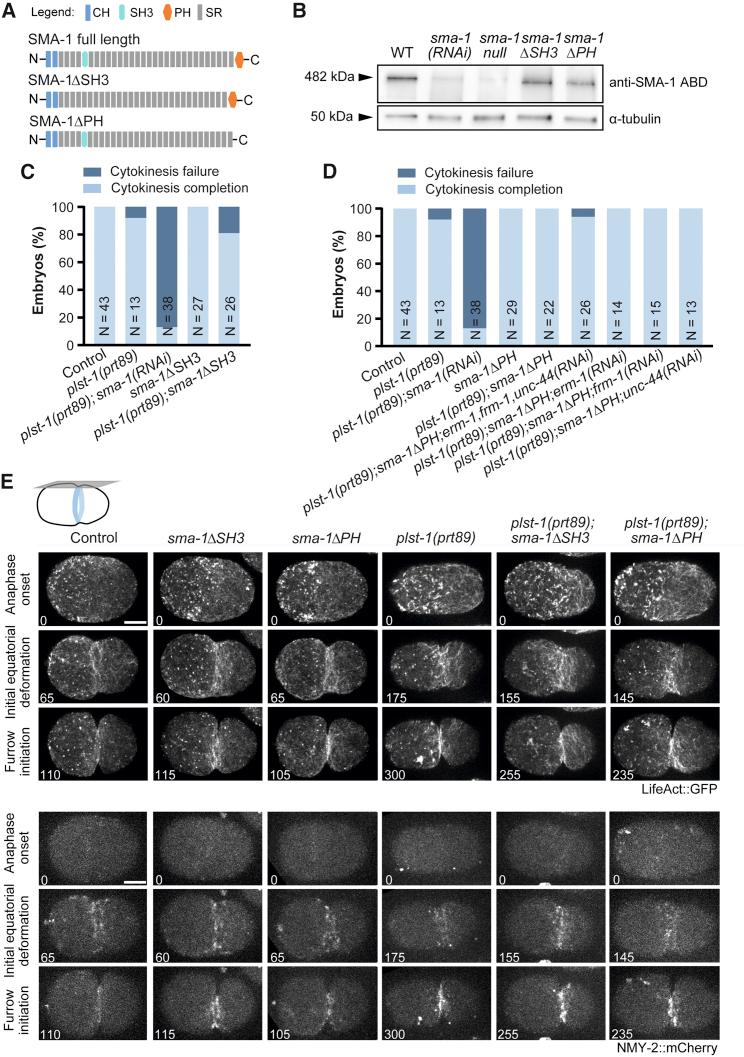 https://cdn.ncbi.nlm.nih.gov/pmc/blobs/767f/8699742/5234cd13f8b2/gr4.jpg