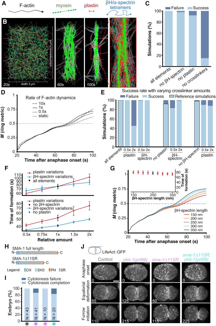 https://cdn.ncbi.nlm.nih.gov/pmc/blobs/767f/8699742/5c250506a2e4/gr7.jpg