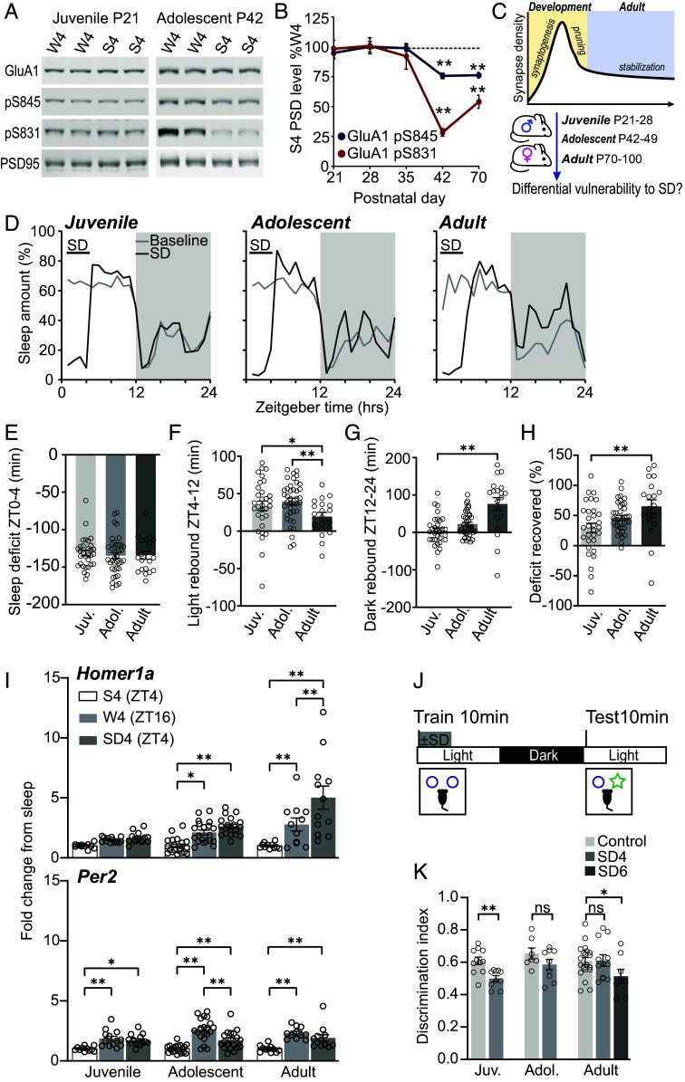 https://cdn.ncbi.nlm.nih.gov/pmc/blobs/7682/11536182/43cca3723ac4/pnas.2407533121fig01.jpg