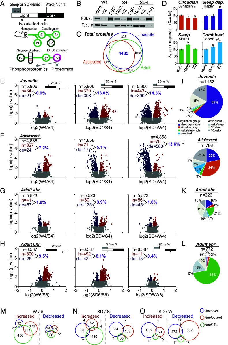 https://cdn.ncbi.nlm.nih.gov/pmc/blobs/7682/11536182/67776c62b931/pnas.2407533121fig02.jpg