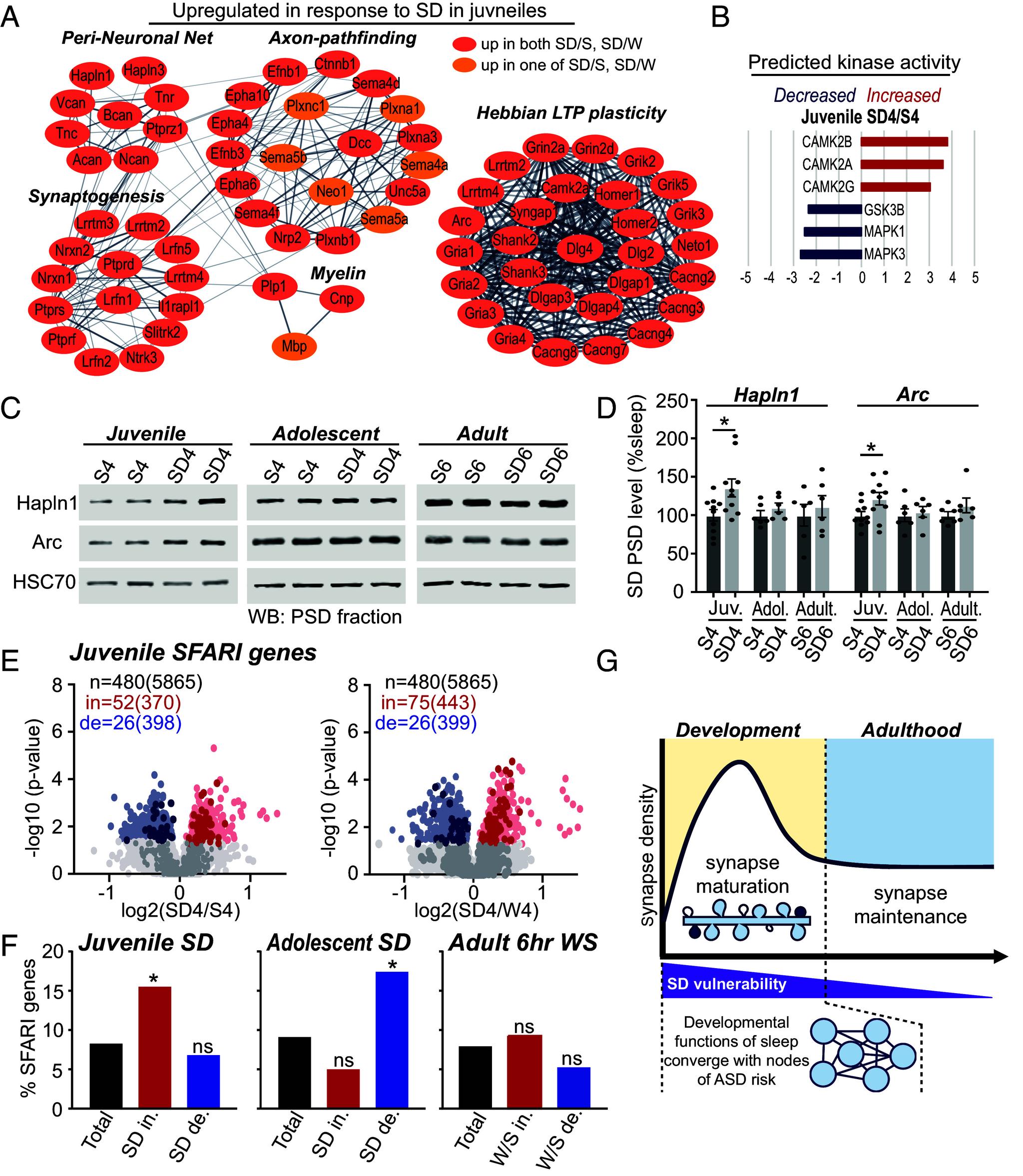 https://cdn.ncbi.nlm.nih.gov/pmc/blobs/7682/11536182/6e54e01769e4/pnas.2407533121fig04.jpg