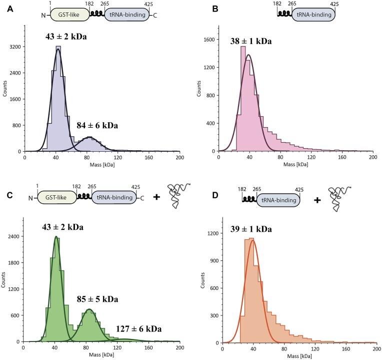https://cdn.ncbi.nlm.nih.gov/pmc/blobs/7684/12021450/ee7e106e4824/gkaf328fig5.jpg