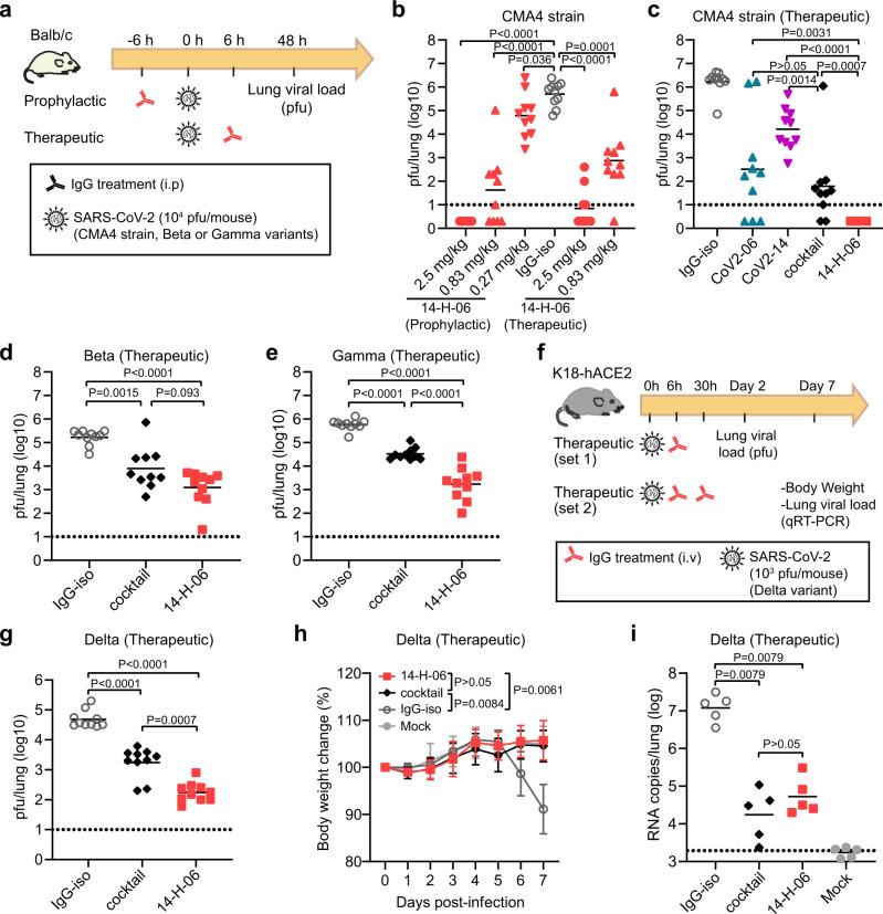 https://cdn.ncbi.nlm.nih.gov/pmc/blobs/7685/9499943/069faaa80b01/41467_2022_33284_Fig5_HTML.jpg