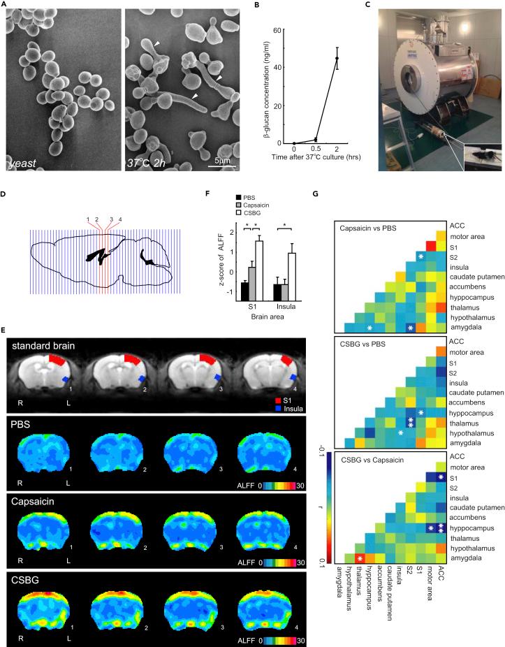 https://cdn.ncbi.nlm.nih.gov/pmc/blobs/7686/6137711/35112fe83205/gr1.jpg