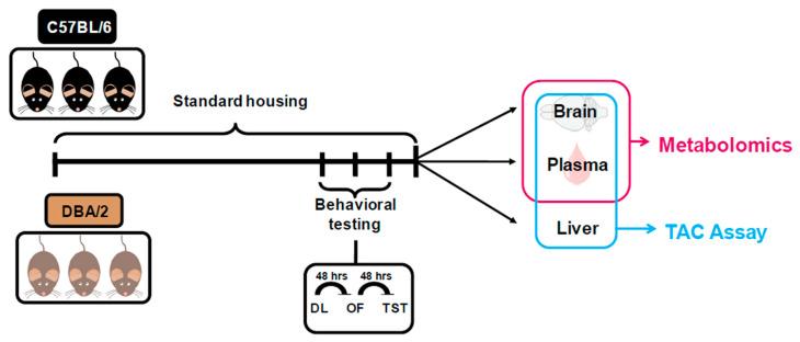 https://cdn.ncbi.nlm.nih.gov/pmc/blobs/7686/7926853/9315ab49b5f6/metabolites-11-00128-g001.jpg