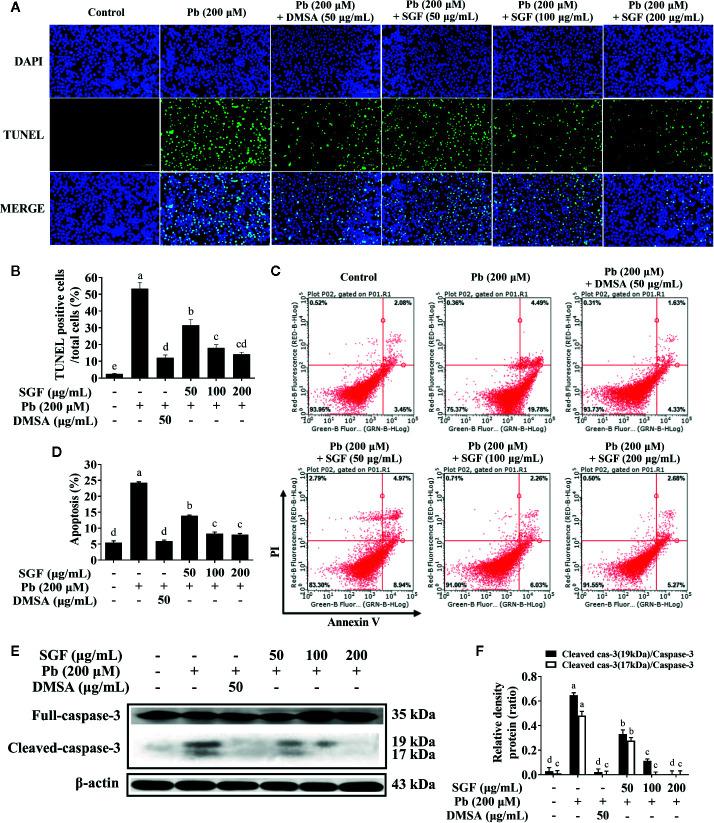 https://cdn.ncbi.nlm.nih.gov/pmc/blobs/7687/7493636/0e14ee358612/fphar-11-556248-g005.jpg
