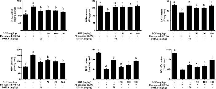 https://cdn.ncbi.nlm.nih.gov/pmc/blobs/7687/7493636/8835ecce3768/fphar-11-556248-g002.jpg