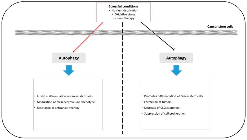 https://cdn.ncbi.nlm.nih.gov/pmc/blobs/7688/6274804/6521e755b6d7/ijms-19-03466-g003.jpg