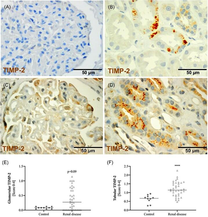 https://cdn.ncbi.nlm.nih.gov/pmc/blobs/7689/10468751/53ddd6d85af5/sfad010fig3.jpg