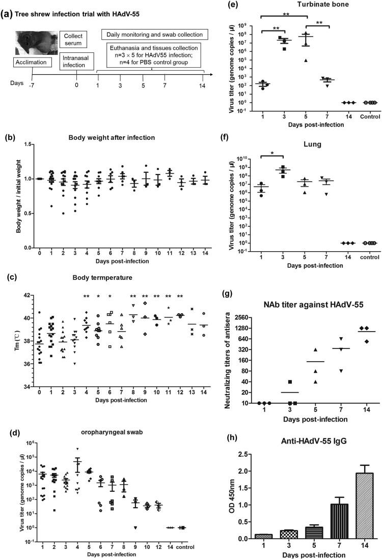 https://cdn.ncbi.nlm.nih.gov/pmc/blobs/7689/7971223/2c7744e0ab33/TEMI_A_1895679_F0003_OB.jpg