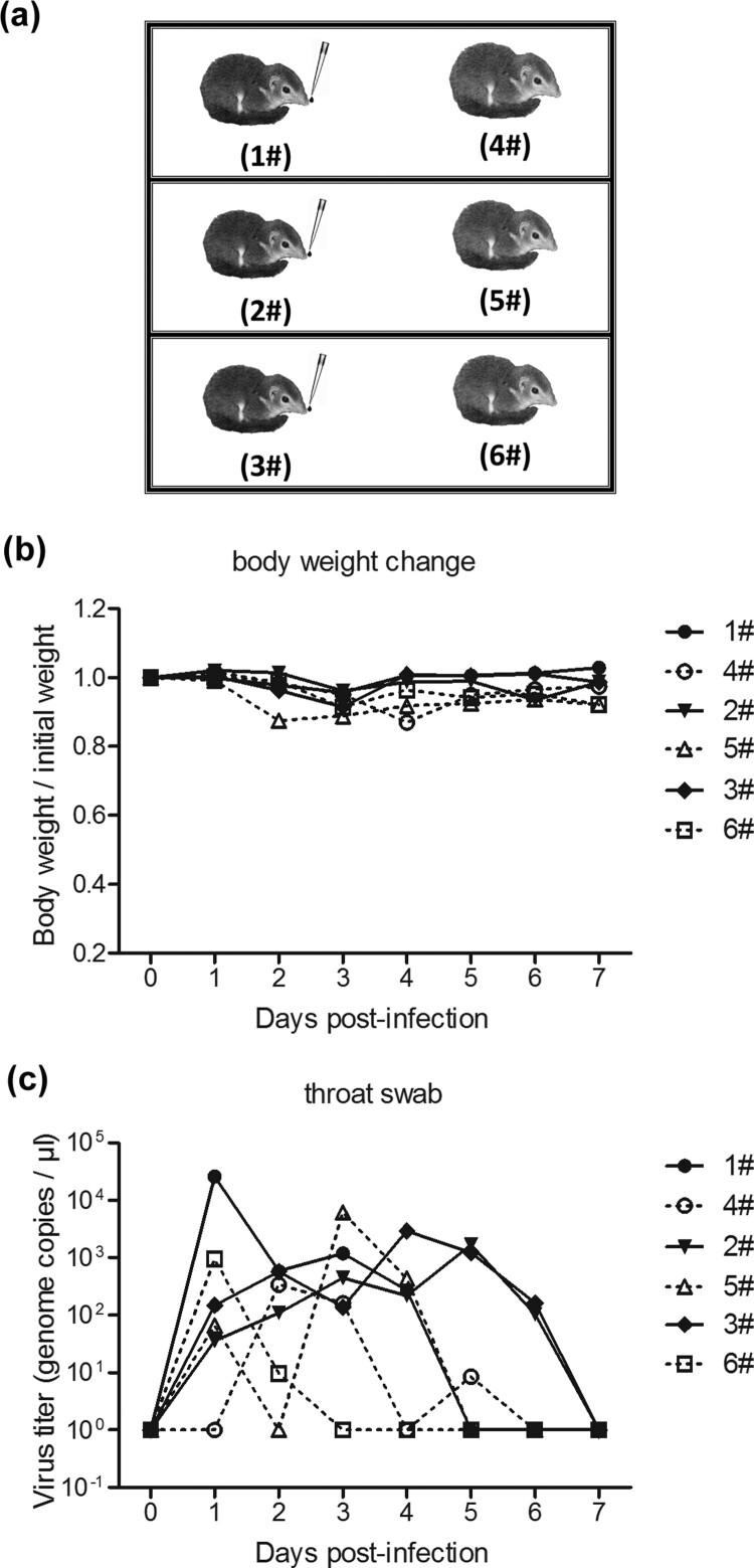 https://cdn.ncbi.nlm.nih.gov/pmc/blobs/7689/7971223/c6597904b079/TEMI_A_1895679_F0006_OB.jpg