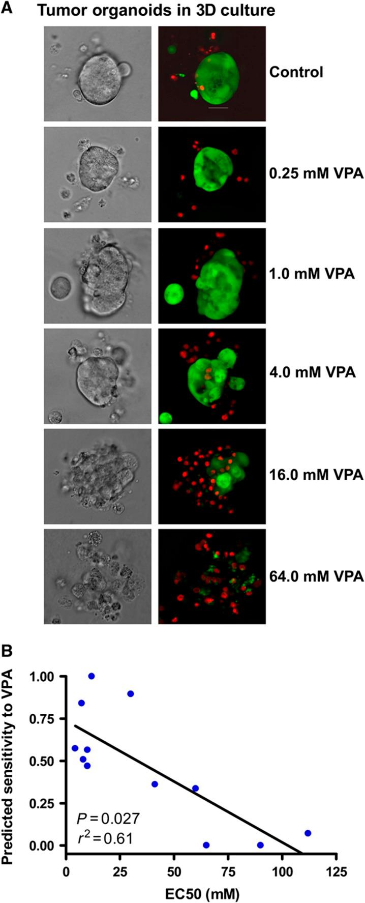 https://cdn.ncbi.nlm.nih.gov/pmc/blobs/768b/3159972/024278f43388/msb201147-f6.jpg