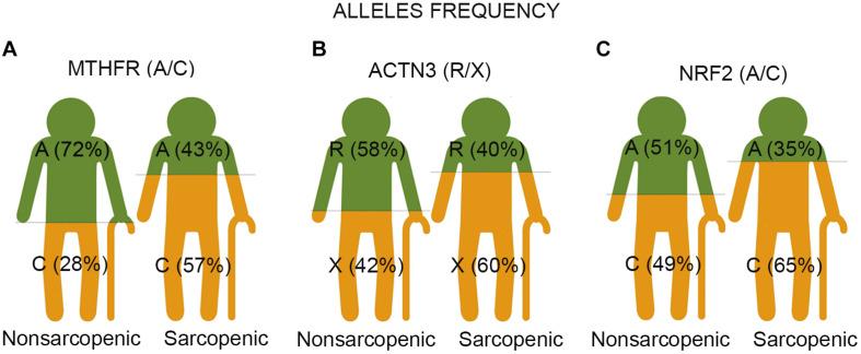 https://cdn.ncbi.nlm.nih.gov/pmc/blobs/768b/7831746/c8fada2f1f8a/fgene-11-615238-g001.jpg
