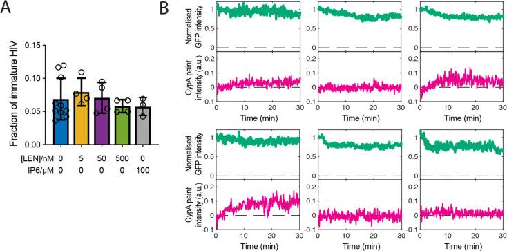 https://cdn.ncbi.nlm.nih.gov/pmc/blobs/768c/10863983/0b3fcdf23761/elife-83605-fig2-figsupp1.jpg