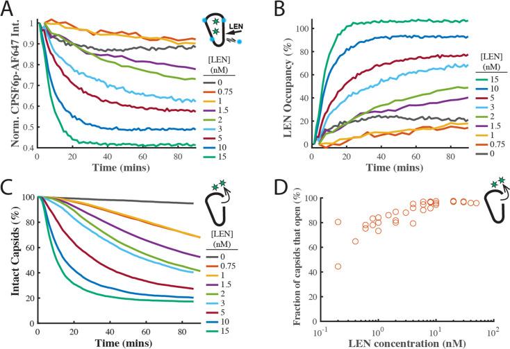 https://cdn.ncbi.nlm.nih.gov/pmc/blobs/768c/10863983/23fb6cbae352/elife-83605-fig4-figsupp3.jpg