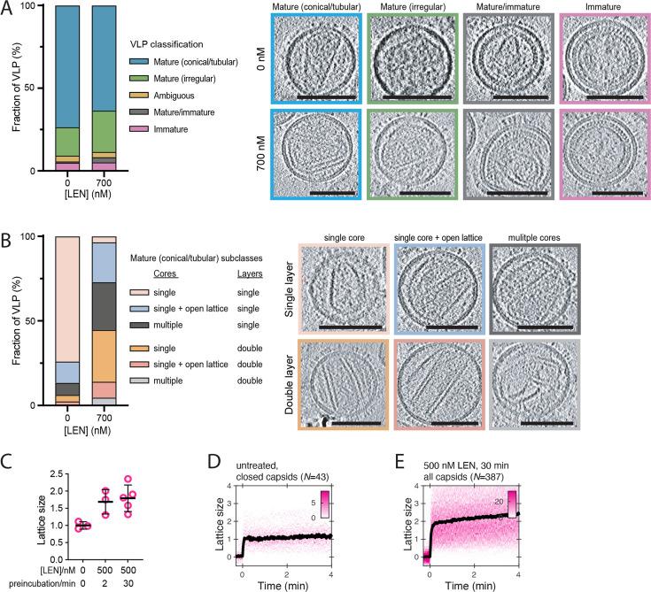 https://cdn.ncbi.nlm.nih.gov/pmc/blobs/768c/10863983/2eeacb3edda7/elife-83605-fig6-figsupp1.jpg