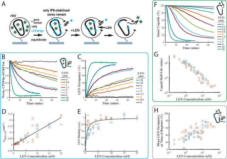 https://cdn.ncbi.nlm.nih.gov/pmc/blobs/768c/10863983/36663445dddb/elife-83605-fig4.jpg